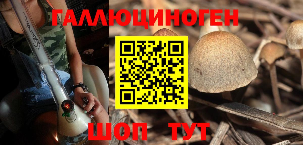 Псилоцибиновые грибы мицелий Егорьевск