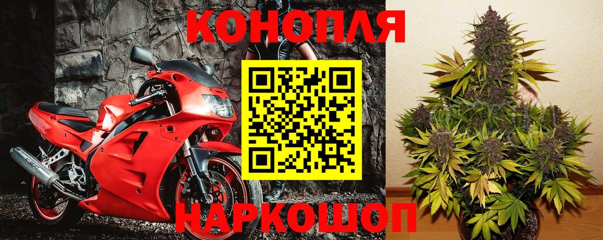 Бошки Шишки план  Марихуана White Widow  Вход с VPN  Егорьевск  Бошки марихуана OG Kush 